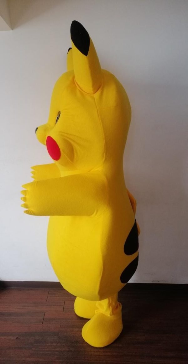 Pikachu – Image 5