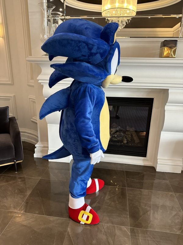 Sonic – Image 4