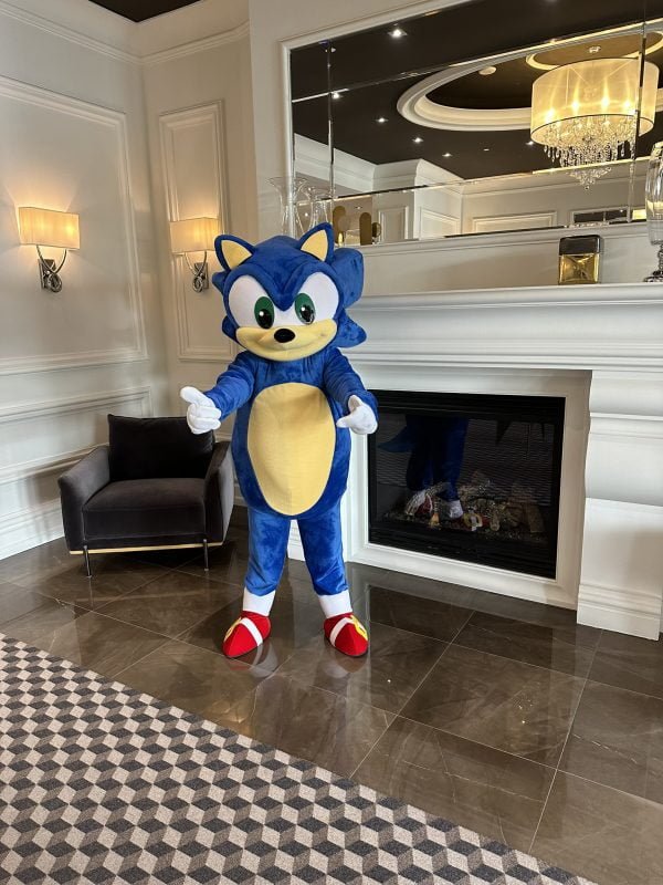 Sonic – Image 3