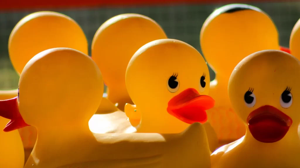 Amusement