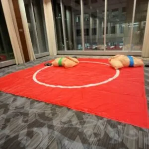 Sumo geant location / Giant sumo rental